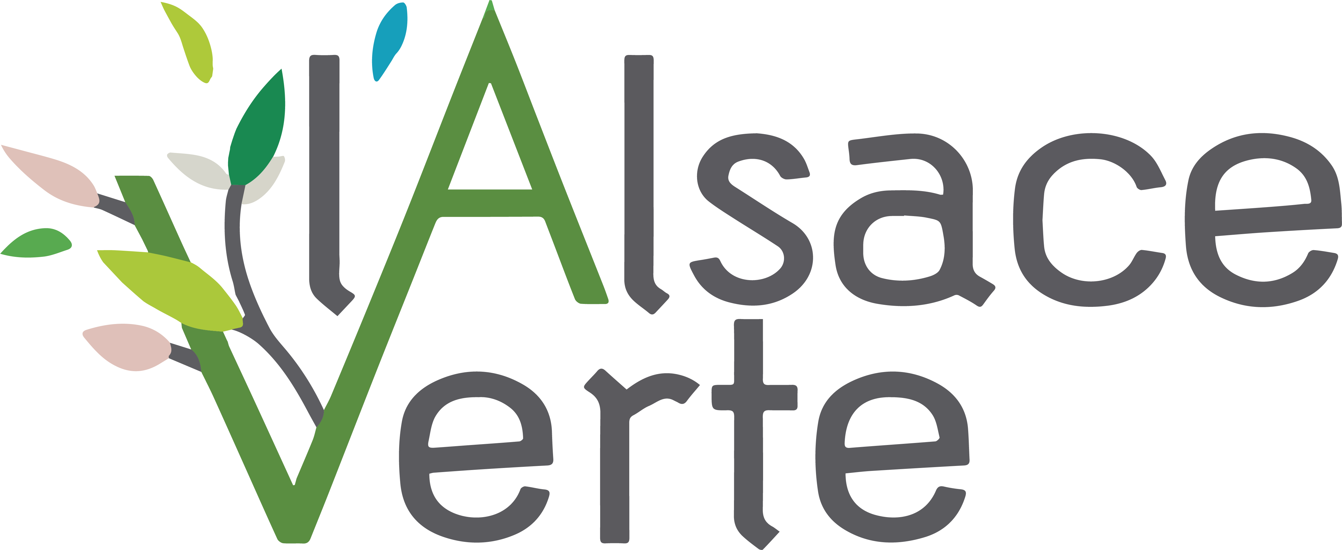 Logo Alsace Verte
